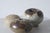 Mushroom Studio Ceramics Vases by Erik Græser, Denmark, 1960s Set of 3 For Sale - Image 4 of 5