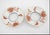 Japanese Imari Porcelain Butterfly & Flower Gold Lidded Tea Bowl Saucer Pair For Sale - Image 14 of 15