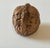 Chinese Antique Detailed Hand Carved Chinese Figural Walnut Shell For Sale - Image 3 of 8