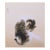 Fine Heisei Era Japanese Watercolor Painting "Cat". Signed and sealed by artist in ink. Watercolor and ink on silk over...