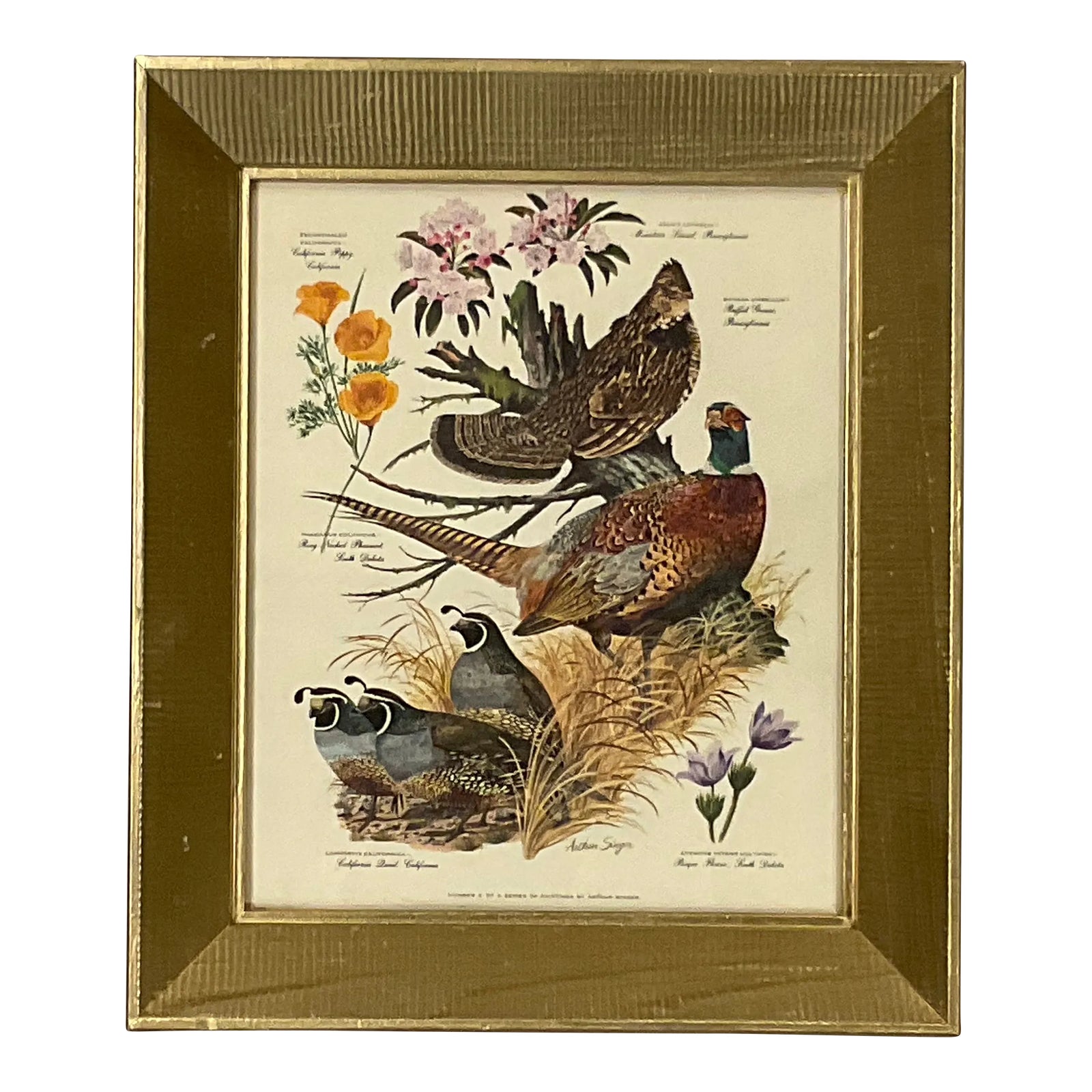 vintage-americana-arthur-