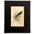 Late 19th Century 1896 Matted Antique Bird Prints Pair — Chimney Swallow & Green Woodpecker For Sale - Image 5 of 8