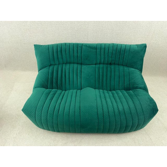 Ligne Roset Green Two-Seater Aralia Sofa from Ligne Roset For Sale - Image 4 of 18
