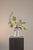 Contemporary Vanity Mirror Floral Arrangement by Apartment 387 For Sale - Image 3 of 8