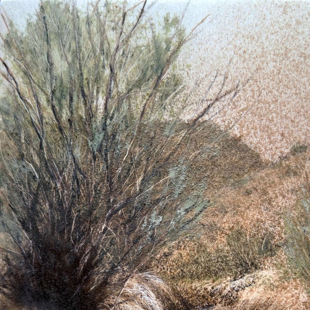 Tamarisk Invasion by Lisa Lebofsky | Dirt and oil on aluminum Landscape with tamarisk bushes. For Sale - Image 4 of 4