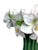 Vintage Amarillis Resin Flower Vase For Sale - Image 9 of 9