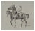 Joan Albert, Horse, 1980, Pencil on Paper For Sale
