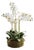 Phalaenopsis Orchid Bowl Drop-In 20" For Sale