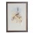 19th Century Bird Print - One of 24, Framed For Sale