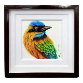 Luis Sottil "Palaro Reloj" #14864 Bird Hand Signed Canvas For Sale