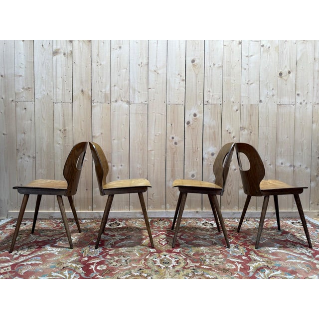 Brown Vintage Baumann Eye Model Chairs in Wood, 1950s, Set of 4 For Sale - Image 8 of 13