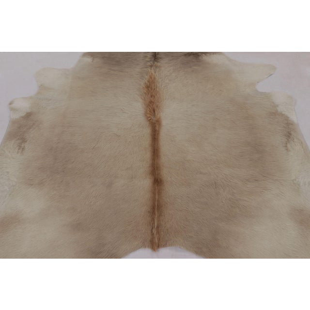 Rug & Kilim’s Large Cowhide Rug in Warm Beige and Cream Tones For Sale In New York - Image 6 of 9