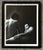 Vintage original black & white photograph of two nude men. Photograph measures 16 x 20”. In a black ebonized wood frame.