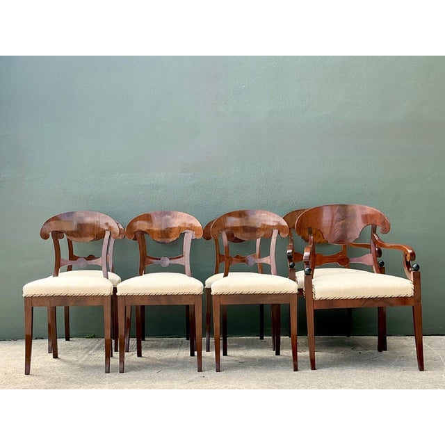 Vintage Biedermeier Flame Dining Chairs - Set of 8 For Sale - Image 15 of 17