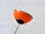 Space Age Pendant Lamp with Colored Metal Shades, 1970s For Sale - Image 10 of 13
