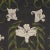 Contemporary Schumacher x Backdrop Lady Lilith Wallpaper In Carbon For Sale - Image 3 of 4