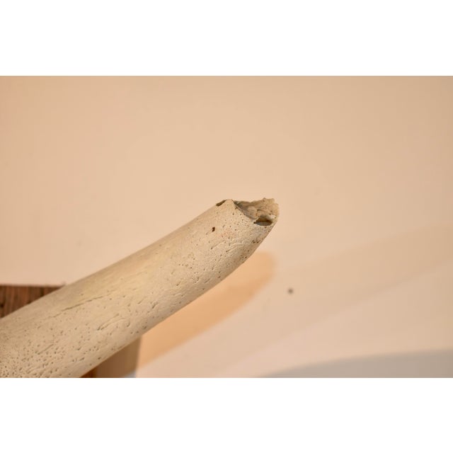 Bone Circa 1970's Mounted Steer Skull For Sale - Image 7 of 10