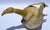 1950s Abstract Italian Ceramic Pottery Wood Bird Sculpture Mixed Media Handmade For Sale - Image 16 of 17