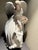 Elegant Lladro' "Flowers of Peace Limited Edition porcelain figurine (Model 01001867), sculpted by renowned Lladro' artist...