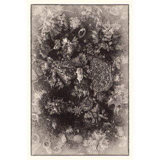 Annie's Orchard by Jenya Chernoff | Giclee Photographic Print of floral and natural elements For Sale