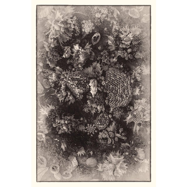 Annie's Orchard by Jenya Chernoff | Giclee Photographic Print of floral and natural elements For Sale