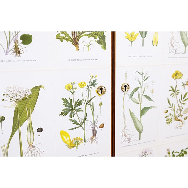 Wood Vintage Cabinet with Nordens Flora Illustrations in the style of Josef Frank, 1960s For Sale - Image 7 of 10