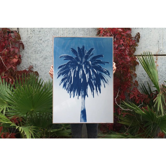 This is an exclusive handprinted limited edition cyanotype. This cyanotype shows a palm tree from the Majorelle Gardens in...