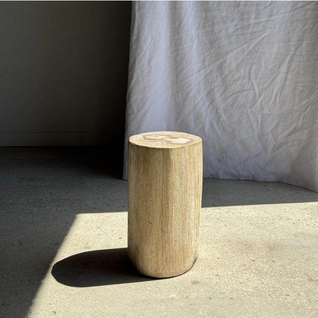 Oval White Petrified Wood Side Table, 1980s For Sale - Image 9 of 18