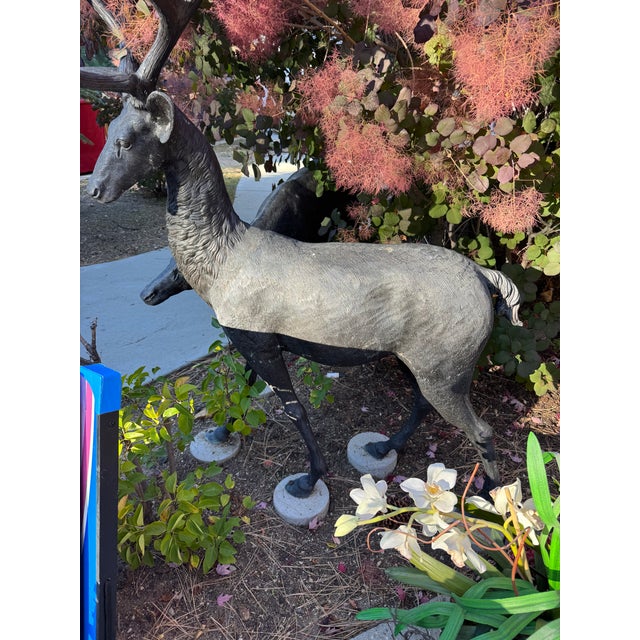 Late 20th Century Life Size Bronze Cast Buck and Doe Deer Statues, 2 Pieces For Sale - Image 11 of 12