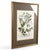 Baroque 1739 Cherry Blossoms & Fruits Mezzotint | Hand-Colored Johann Weinmann Botanical Print For Sale - Image 3 of 9