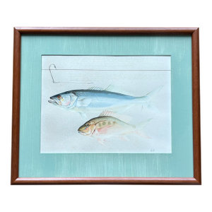 Midcentury Fish Watercolor, Signed, Matted and Framed