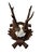 Cabin Roe Deer Trophy 182 Black Forest Antlers For Sale - Image 3 of 5