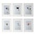 2020s Framed Organic Modern Minimalist Flower Study | Botanical Painting | Herbarium Wall Art For Sale - Image 5 of 5