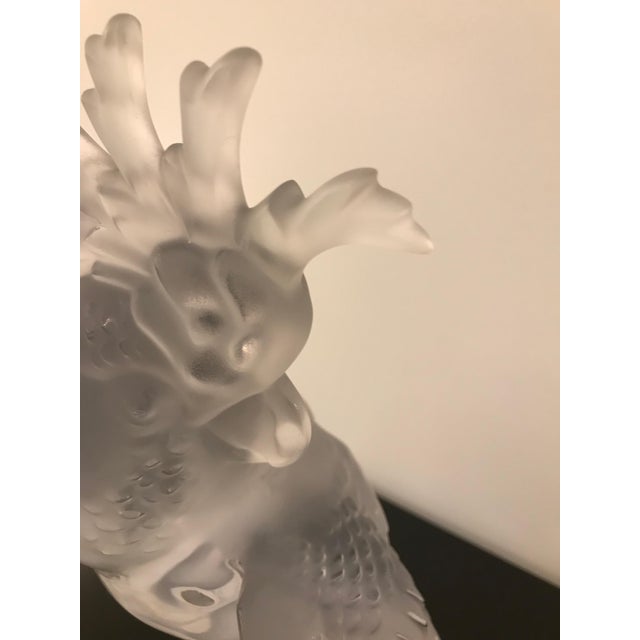 Lalique Crystal Sculpture Cockatoo Bird For Sale In New York - Image 6 of 13