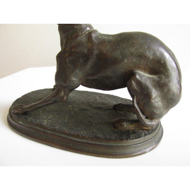 Bronze Antique French Bronze Depicting a Standing Whippet For Sale - Image 8 of 11