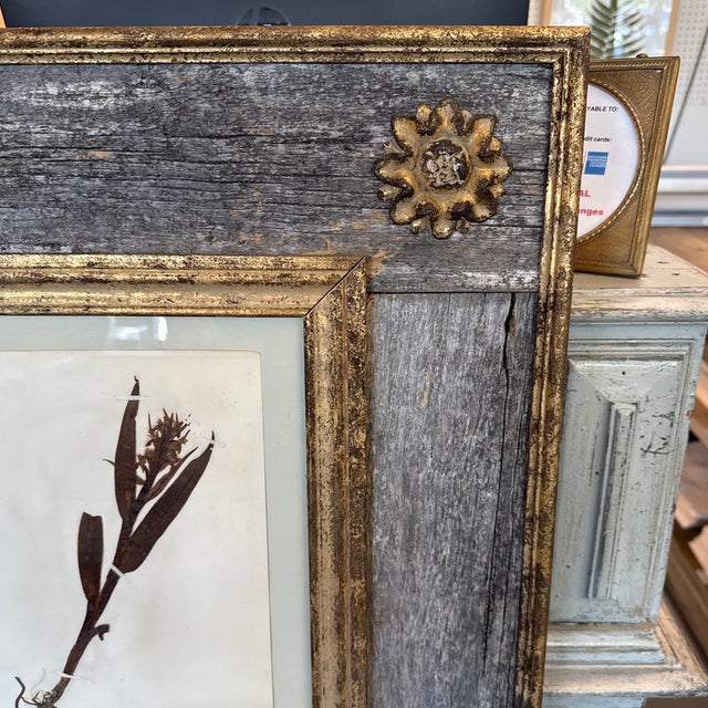 Preserved Floral Custom French Herbier (Botanical Study) For Sale In Atlanta - Image 6 of 8