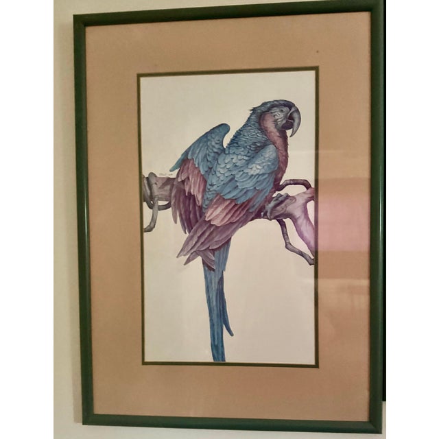 This pair of framed art prints, by Paul Brent, depicting parrots. The print on the left features a blue-toned parrot,...