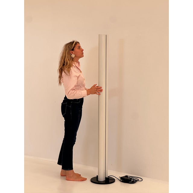 Megaron Floor Lamp by G. Frattini for Artemide, 1970s For Sale - Image 11 of 12
