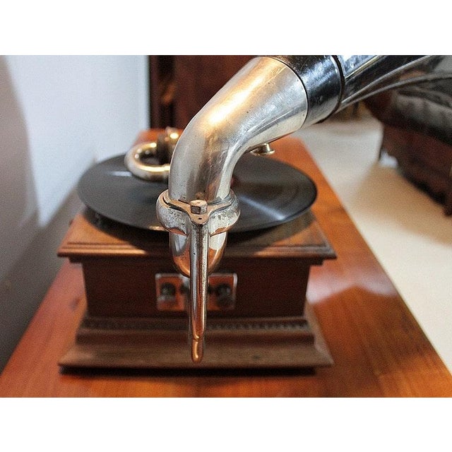 20th Century Horn Gramophone For Sale - Image 3 of 14