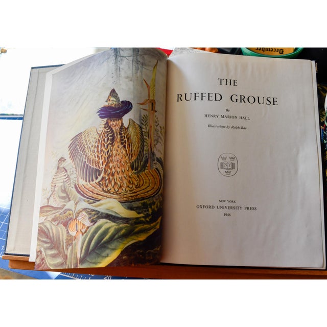 1940s "The Ruffed Grouse" — Henry Marion Hall — First Edition 1946 — Oxford University Press — Illustrated by Ralph Ray For Sale - Image 5 of 14