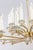 1950s 24-Light Crystal & Brushed Brass Chandelier in Manner of Sciolari For Sale - Image 10 of 14