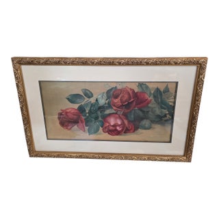 Rose Watercolor Unsigned For Sale