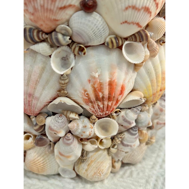 Contemporary Coastal Grotto Palm Beach Shell Encrusted Planter For Sale In New Orleans - Image 6 of 9
