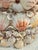 Contemporary Coastal Grotto Palm Beach Shell Encrusted Planter For Sale In New Orleans - Image 6 of 9