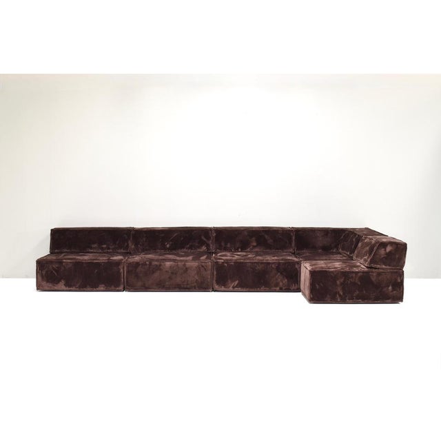 Trio Sectional Sofa in Chocolate Brown Velvet with New Upholstery from Cor, 1972, Set of 10 For Sale - Image 3 of 18