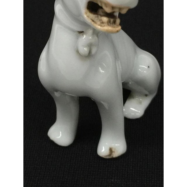Chinese Porcelain Sitting Dog, Dehua, Qing Dynasty, Kangxi Era For Sale - Image 12 of 14