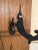 Antique Wall Bracket Oil Lamp 1800's For Sale - Image 4 of 9