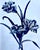 Textile 2008 1st Edition, "A Passion for Blue and White", by Carolyne Roehm For Sale - Image 7 of 18