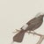 After Descourtilz, Racket-Tailed Motmots and Kingfishers, 1944, Paper For Sale - Image 3 of 12