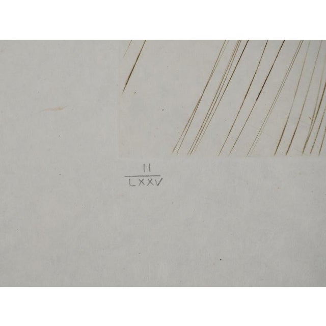 Salvador Dali, The Queen in a Silk Tunic, Engraving For Sale - Image 3 of 9